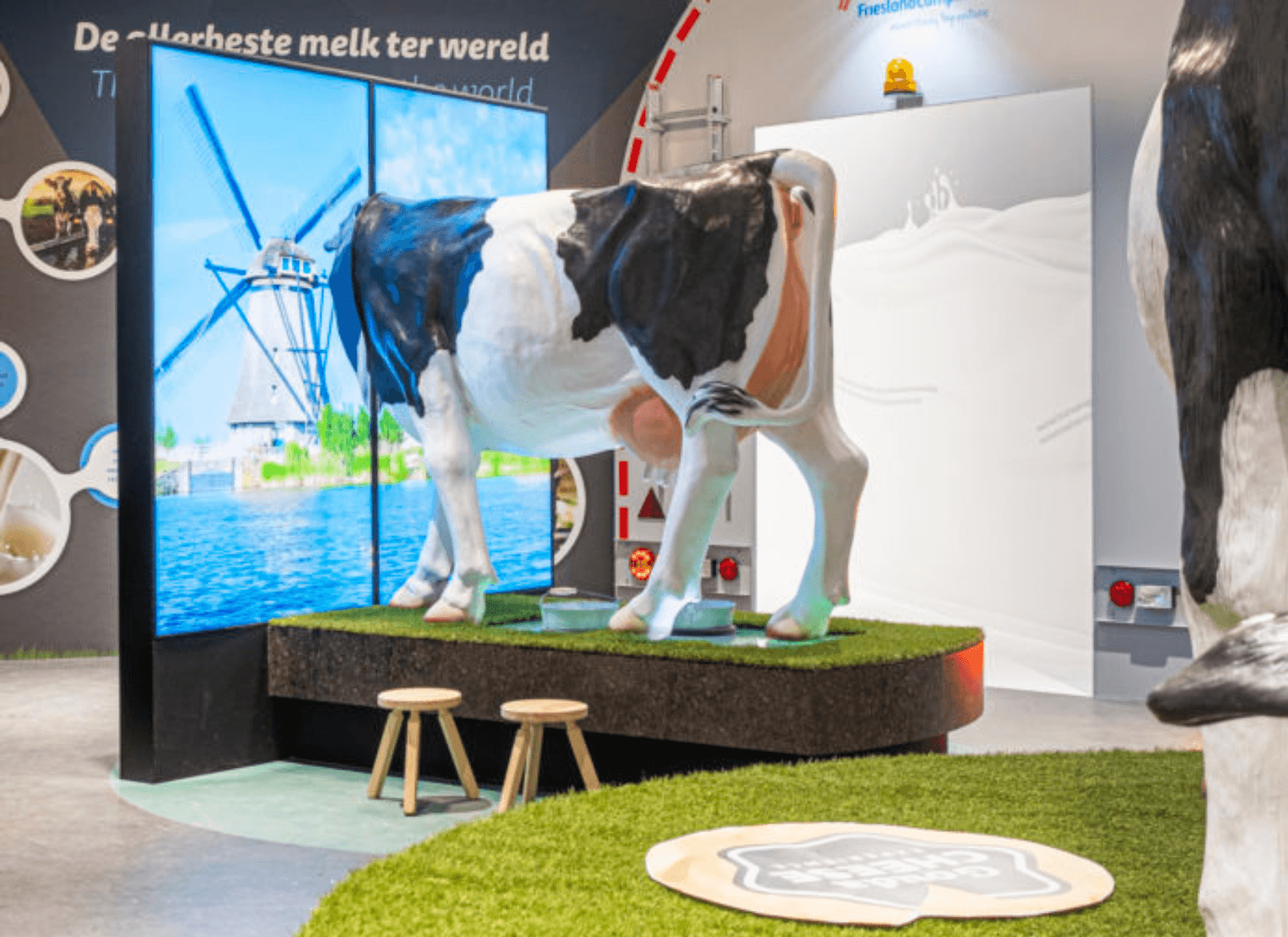 Gouda Cheese Experience.png