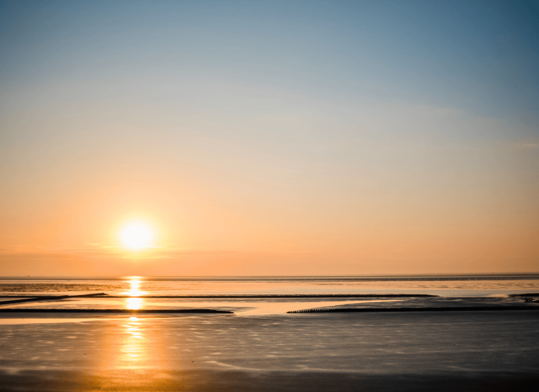 Het Wad Hotel Reichshof.png