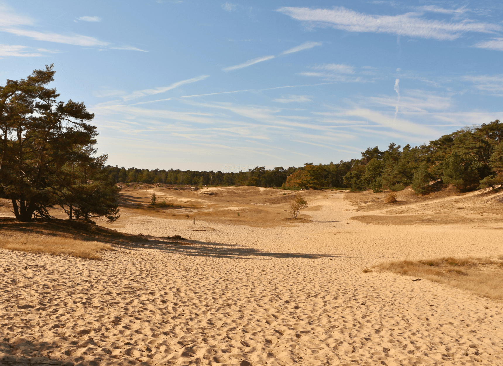 Nationaal Park De Loonse en Drunense Duinen.png