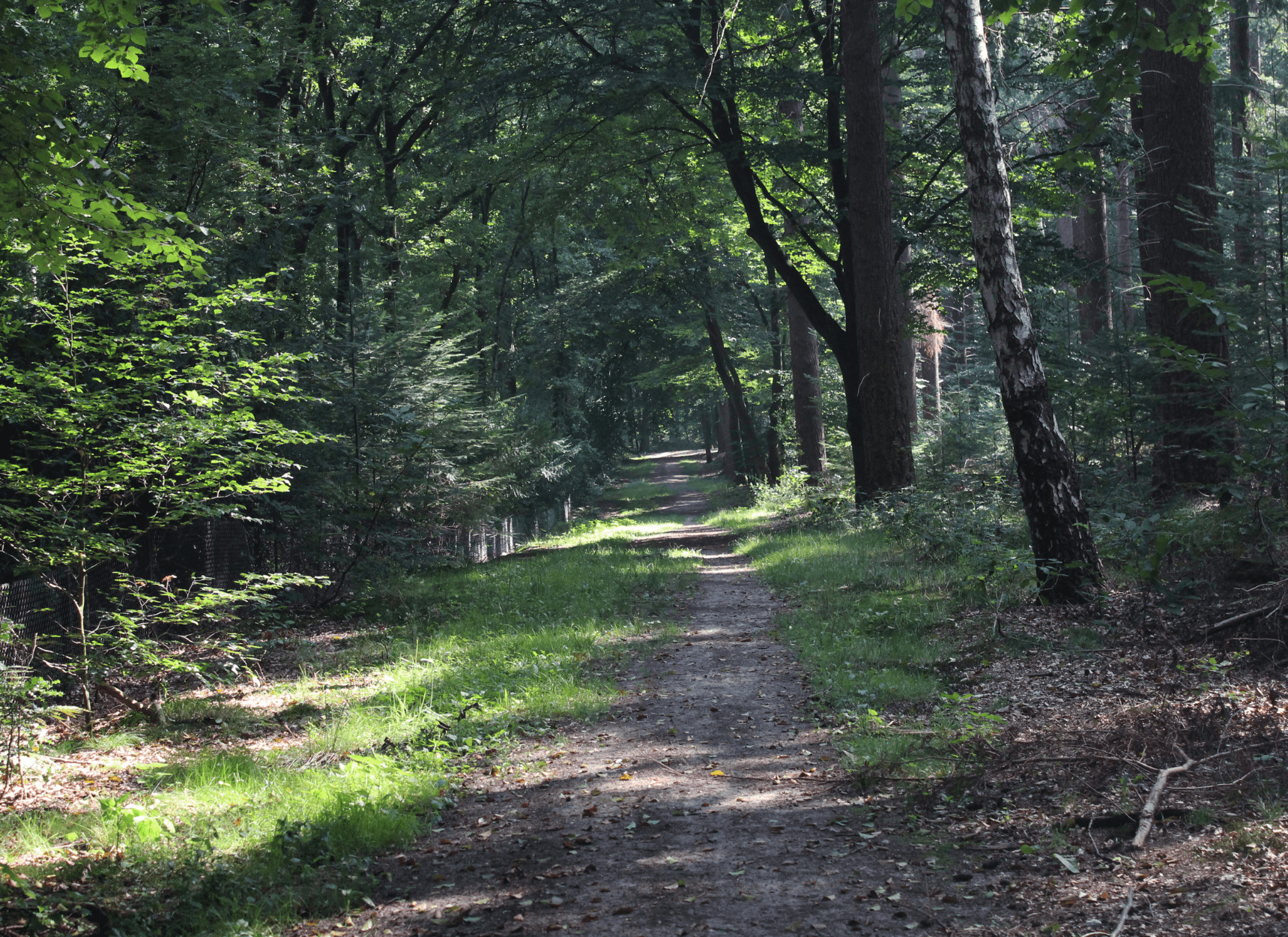 Nationaal Park Utrechtse Heuvelrug.png