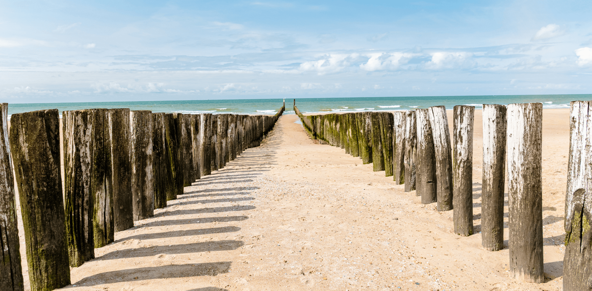 Zeeuwse stranden.png